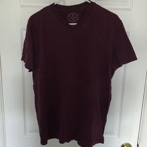 American Eagle Outfitters Athletic Fit V-Neck Tee Shirt